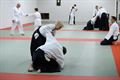 Aikido Koersel