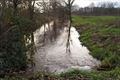 Waterpeil Zwarte Beek staat hoog