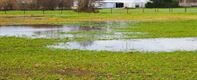 Waterpeil Zwarte Beek staat hoog