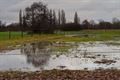 Waterpeil Zwarte Beek staat hoog