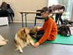 Honden genieten van een heerlijke massage