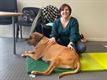 Honden genieten van een heerlijke massage