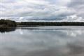 Natuur op 1 maart