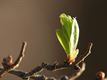 Natuur op 1 maart