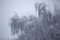 Verse sneeuw in maart