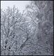 Verse sneeuw in maart