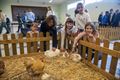 Mooie prijs voor basisschool Sint-Jan