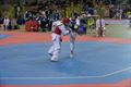 Belgian Open Taekwondo in De Soeverein