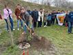 Duitse boom geplant op campus De Beerring