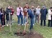 Duitse boom geplant op campus De Beerring