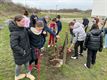 Duitse boom geplant op campus De Beerring