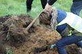 De eerste bomen voor een speelplein