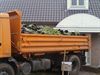Cannabisplantage in Lutlommel