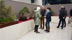 Bonsai-expo in het Klosterhof