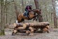 Ook vandaag LRV Eventing