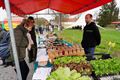 Geslaagde opendeurdag Stalse Schans