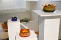 Expo Lucie Haentjens geopend