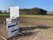 Zelfpluktuin voor tulpen in Beringen