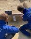Sporen van prehistorische bewoning in Kristalpark