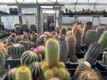 'Een uit de hand gelopen hobby'