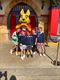 KSA-meisjes Lutlommel naar Walibi