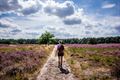 Worden we de wandelgemeente van het jaar?
