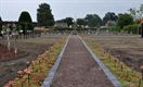 370 klaprozen voor graven oud-strijders