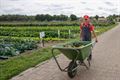 Blij op de boerderij