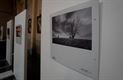 Expo 'De Mens' in Sint-Pietersbandenkerk