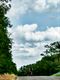 Paarden en wolken in de Kolonie