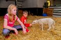 Knuffelen op de boerderij