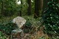 Drie stoere heren in natuurdomein Den Tip