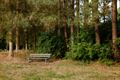 Drie stoere heren in natuurdomein Den Tip