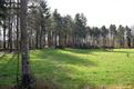 Kasteelsite Grevenbroek definitief beschermd