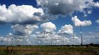 Bloemen, wolken en windmolens