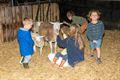 Kennismaken met het leven op de boerderij