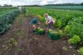 Kennismaken met het leven op de boerderij