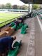 Nieuwe stoelen bij Lommel SK