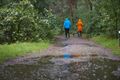 Regen........ zalig!