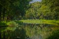 Leons 'Green green grass of home'