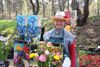 Bloemen en planten in Kattenbos