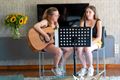 Livingconcerten festival Kattenbos
