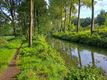 Vloeiweidentocht met Okra