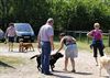 Wandelen met de hond