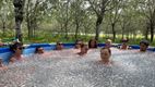 'Mentale kracht na een ijsbad is onbeschrijflijk'