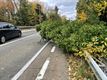 Veel oproepen voor stormschade