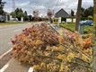 Veel oproepen voor stormschade