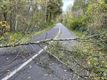 Veel oproepen voor stormschade