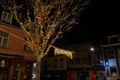 Beringen in feestverlichting