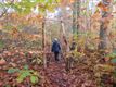 Wandeling in het ochtendlicht